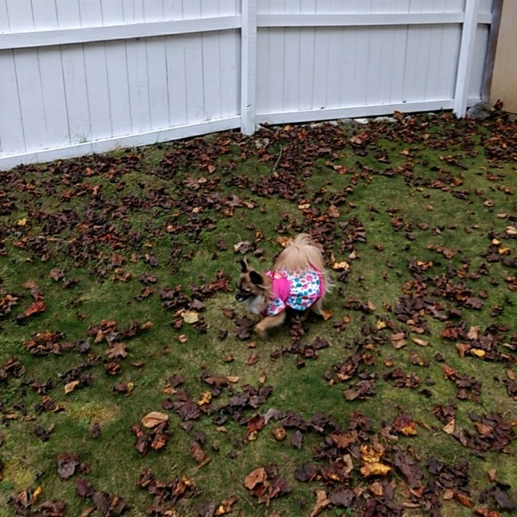 Nothing - Picture 2 of 3